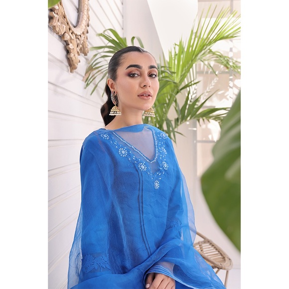 Pakistani Indian shalwar kameez - Picture 2 of 7